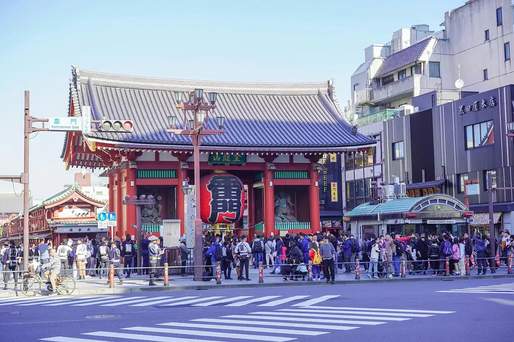 Tokyo and Edo Hidden Gem Bike Tour with Lunch