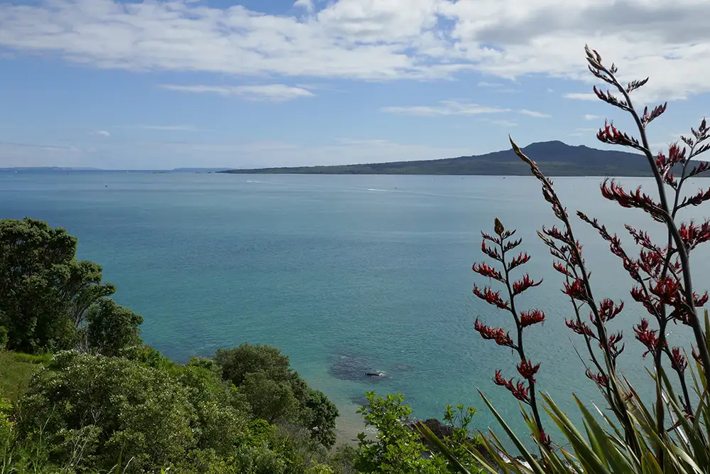 Rangitoto Island Kayaking Tour