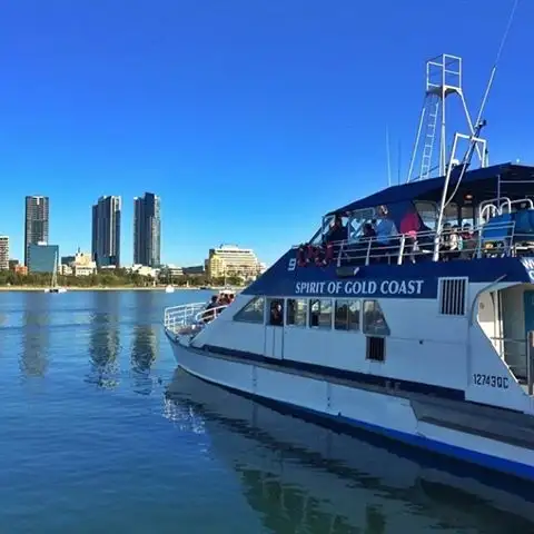 Whale Watching Gold Coast Tour