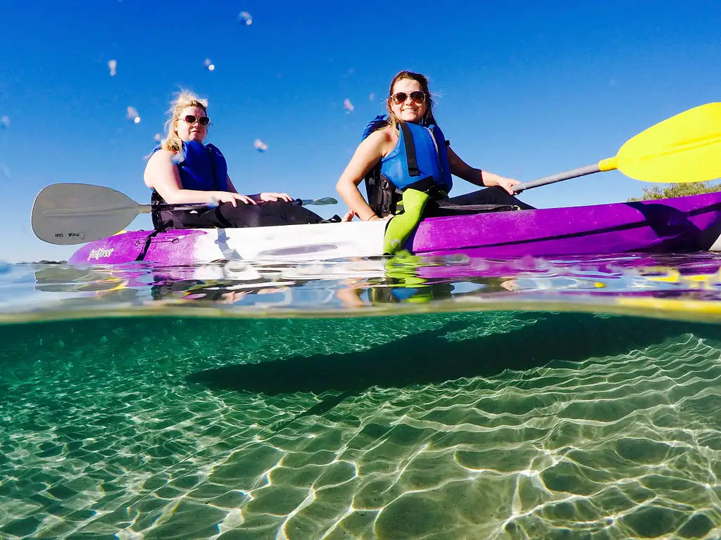 Morning Dolphin Kayaking & Snorkelling Tour