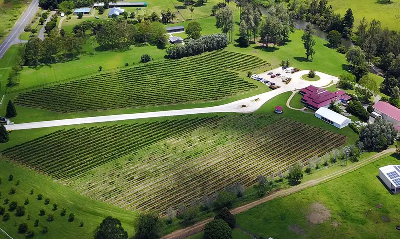 Gold Coast Hot Air Balloon Ride & Full Day Premium Winery Tour