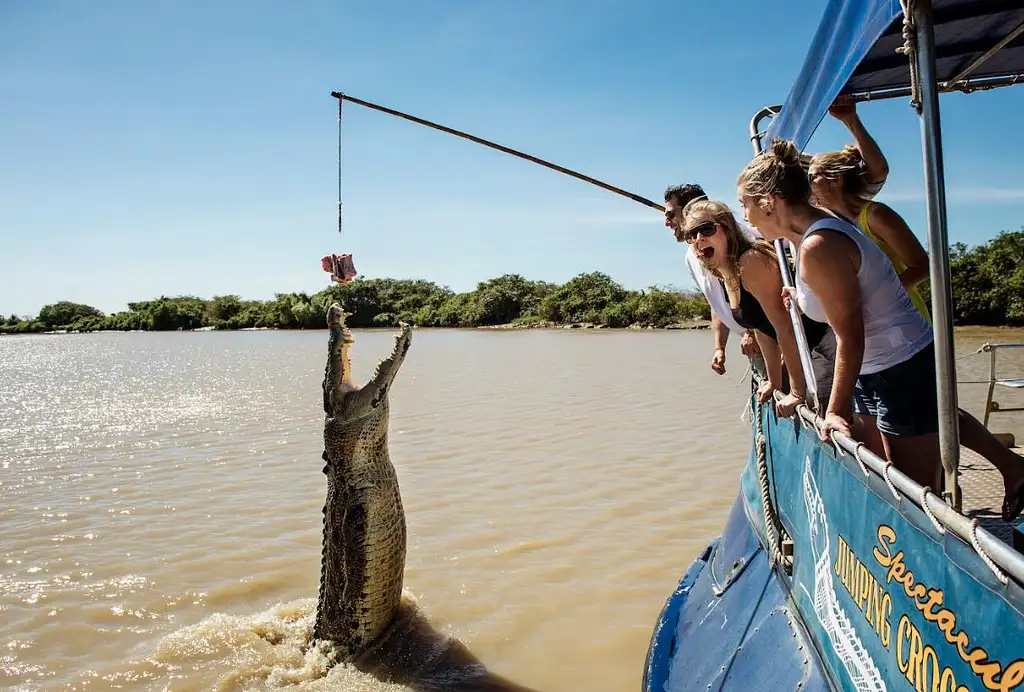 Litchfield National Park Tour | From Darwin (with Croc Cruise option)