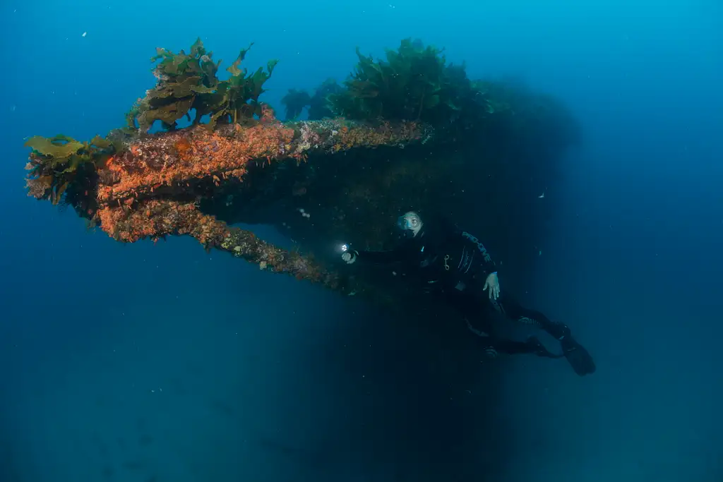 Rainbow Warrior Wreck and Reef Trip