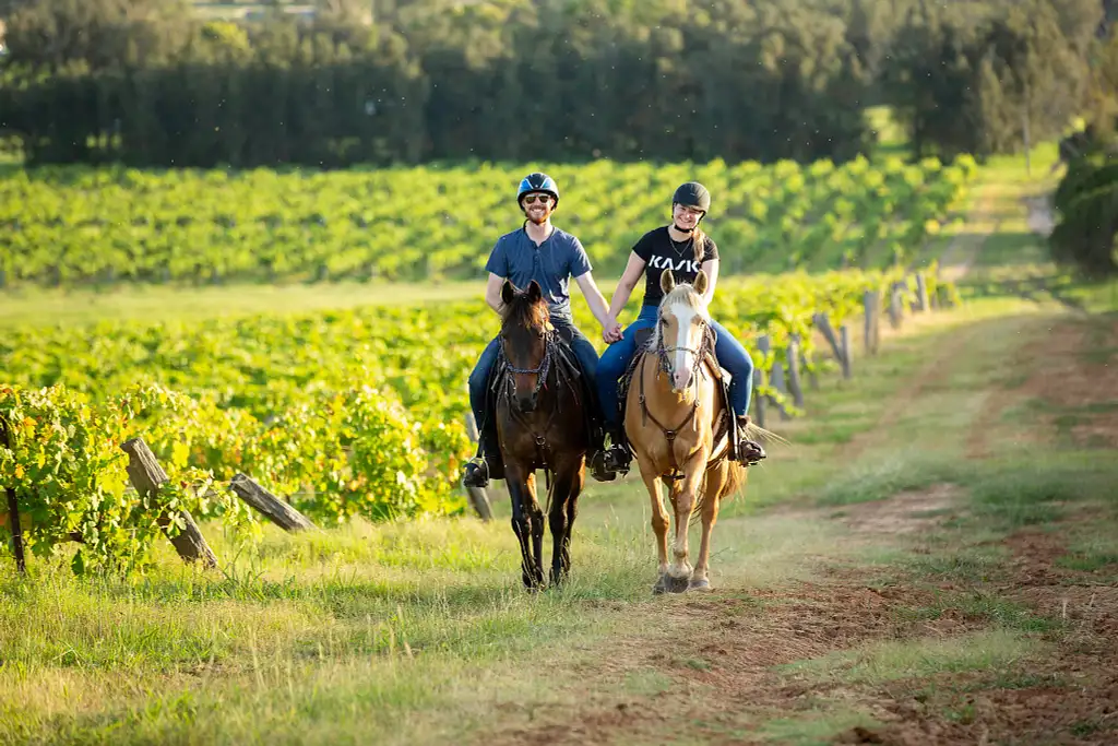 90 Minute Horseback Vineyard Trail Ride - Hunter Valley