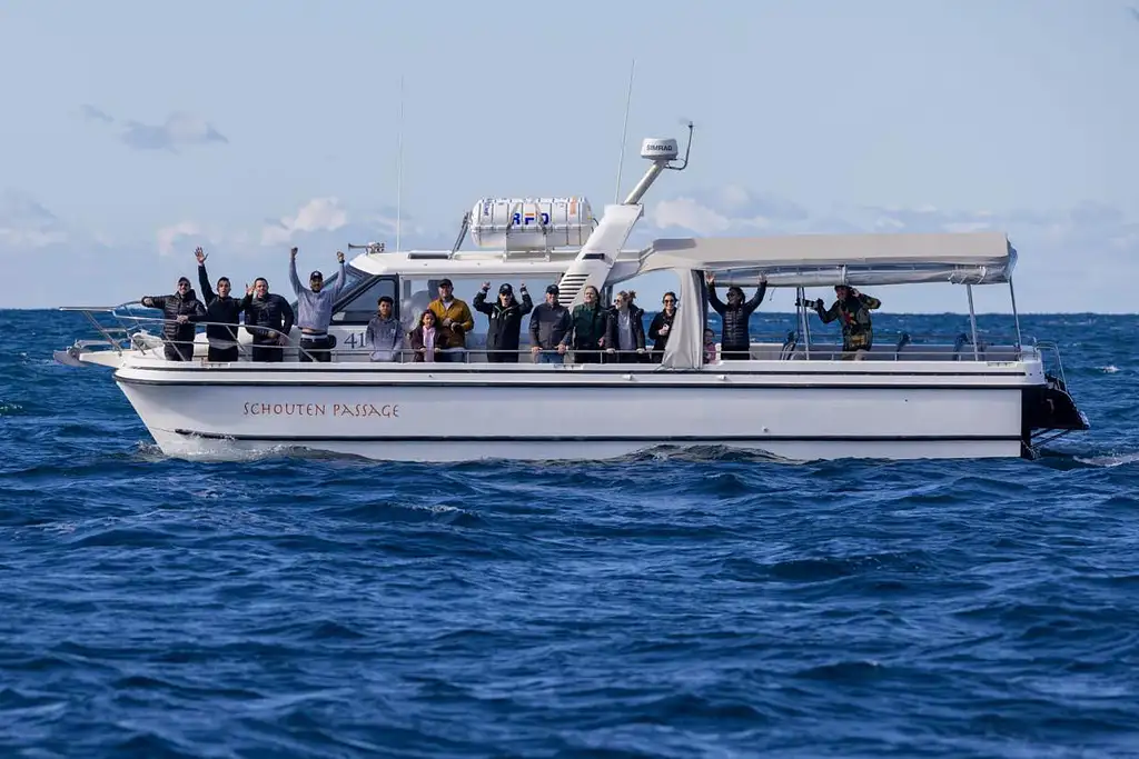 Sydney Whale Watching Experience - Small group