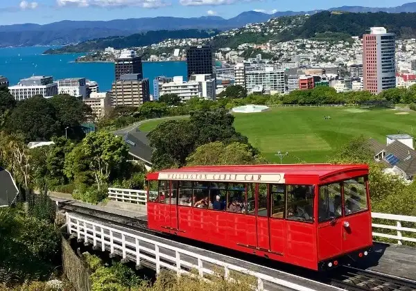 'Buzzy Bee' Bus Pass | Auckland to Queenstown | Kiwi Experience