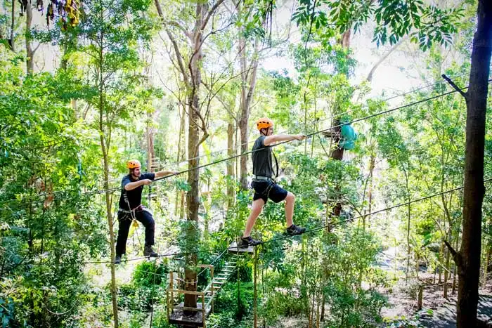 Treetop Challenge Currumbin Wildlife Sanctuary