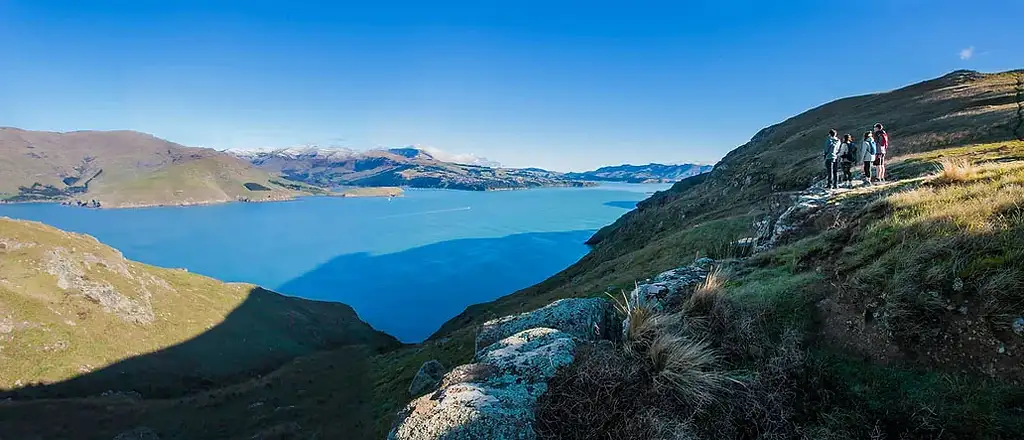 Christchurch Full-Day Guided Crater Rim Walk