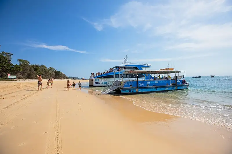 Moreton Island Dolphin & Tangalooma Wrecks Day Tour