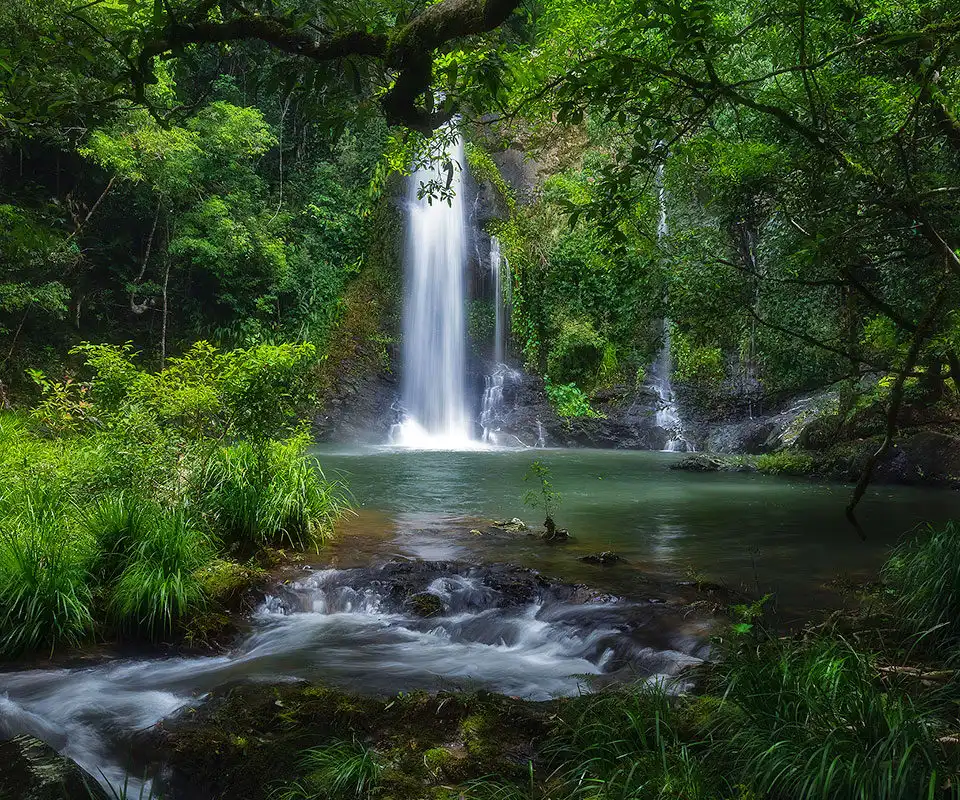 Delights of the Daintree - Unique Full Day Foodie Tour