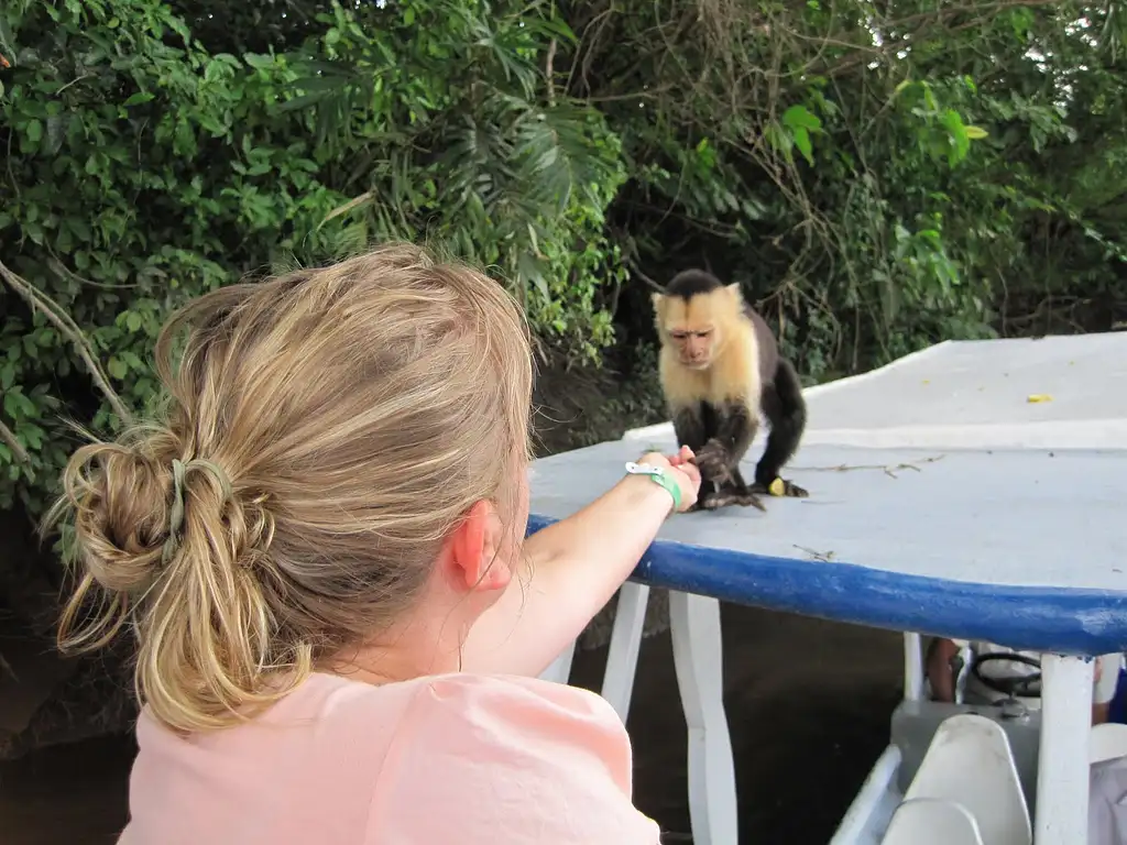 Jungle River Cruise at Palo Verde National Park