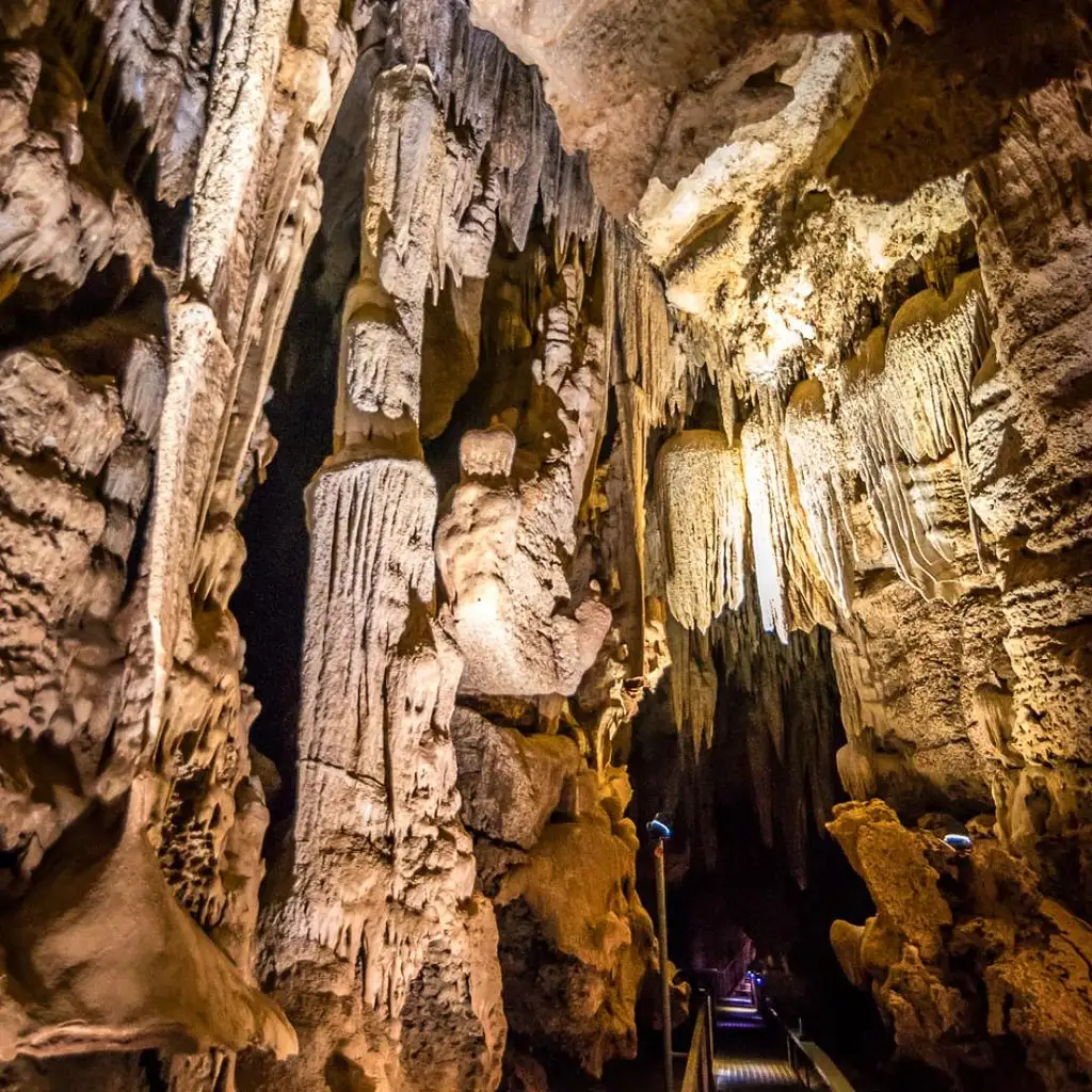 Cutta Cutta Caves Guided Tour