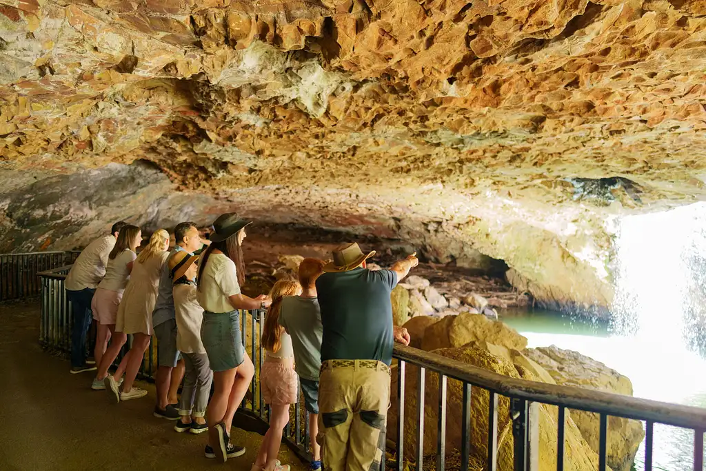 Natural Bridge & Springbrook Waterfalls Tour