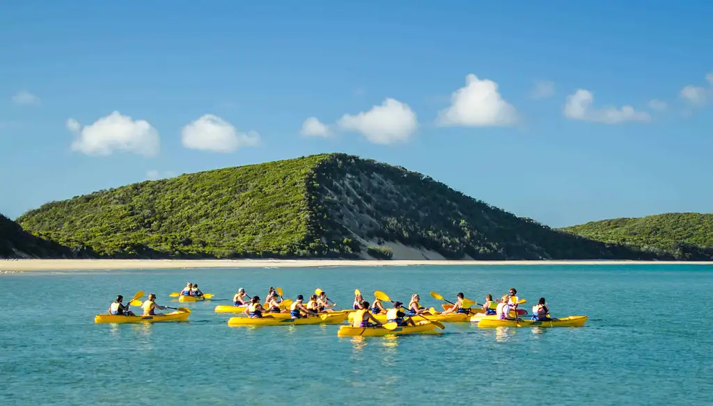 Noosa Dolphin View Sea Kayak & Beach 4X4 Adventure - Day Tour