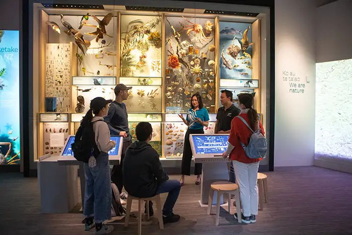 Te Papa Museum Entry (International Visitors)