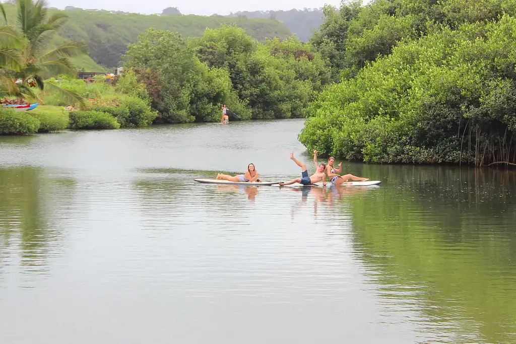 North Shore & Oahu Sightseeing Tour