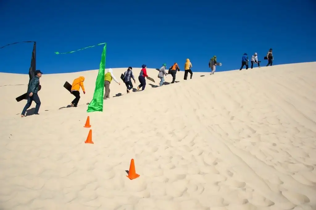 Port Stephens Unlimited Sandboarding & 4WD Adventure