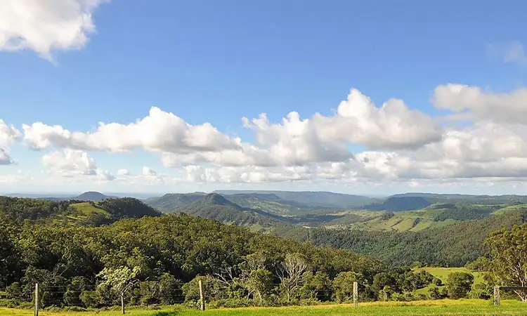 Lamington National Park, O'Reilly's & Vineyard Tour