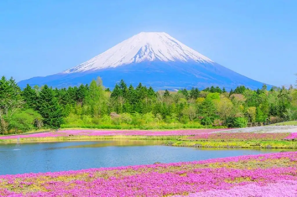 1-day Tour To Mount Fuji, Oshino Hakkai | With Outlets Or Hot Springs