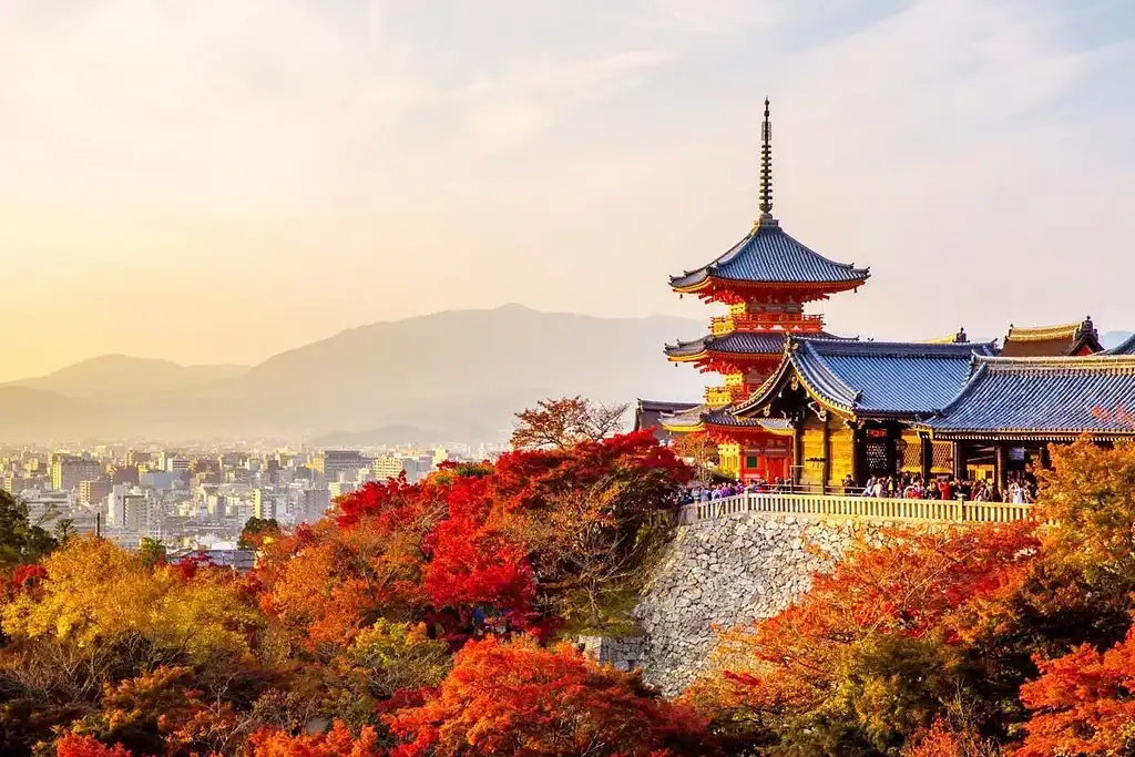 1-Day Tour To Kyoto And Nara Park From Osaka