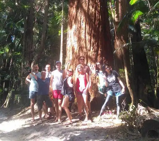 Fraser Island 2 Day 4WD Camping Tour