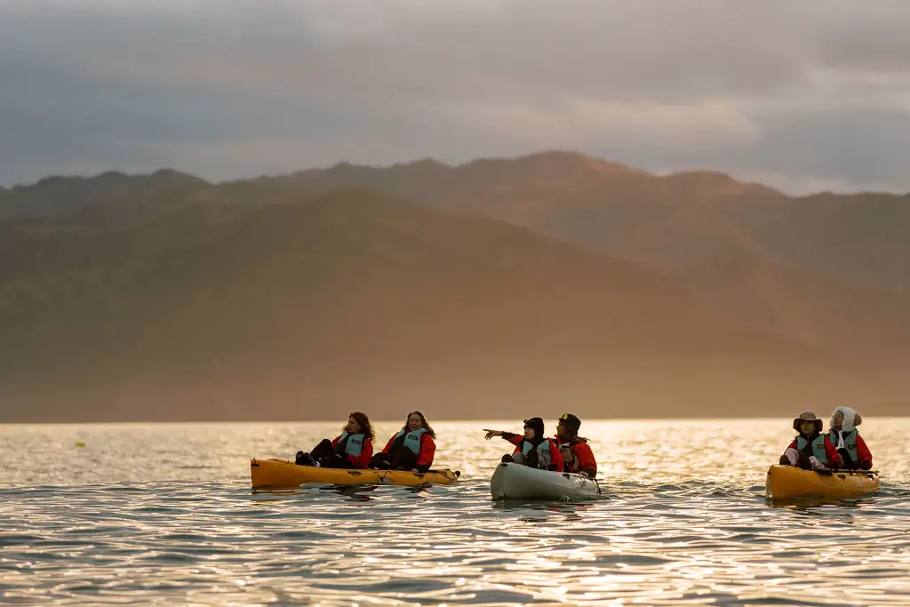 Sunset Kayak Tour Kaikoura