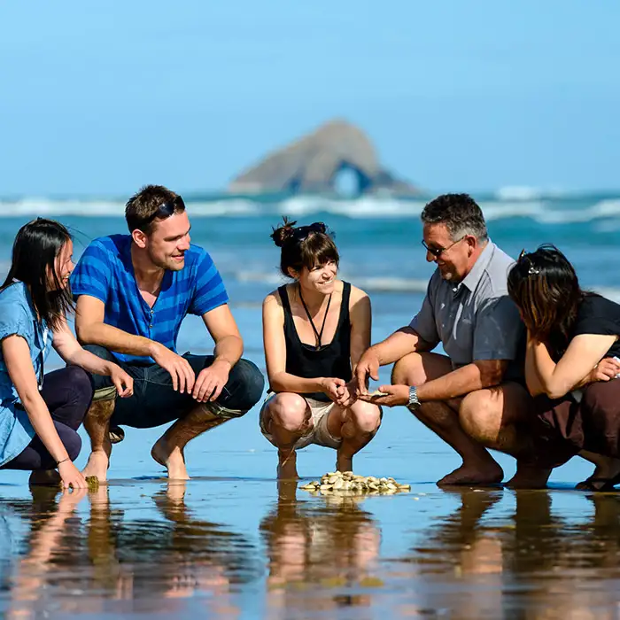 Cape Reinga and Ninety Mile Beach Tour