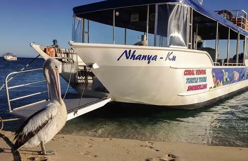 Coral Bay Glass Bottom Boat Tour