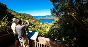 One Day Queen Charlotte Track Walk - Ship Cove to Furneaux Lodge