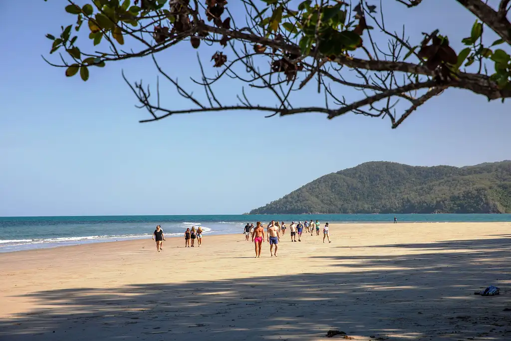 2 Day Cape Tribulation Tour From Cairns