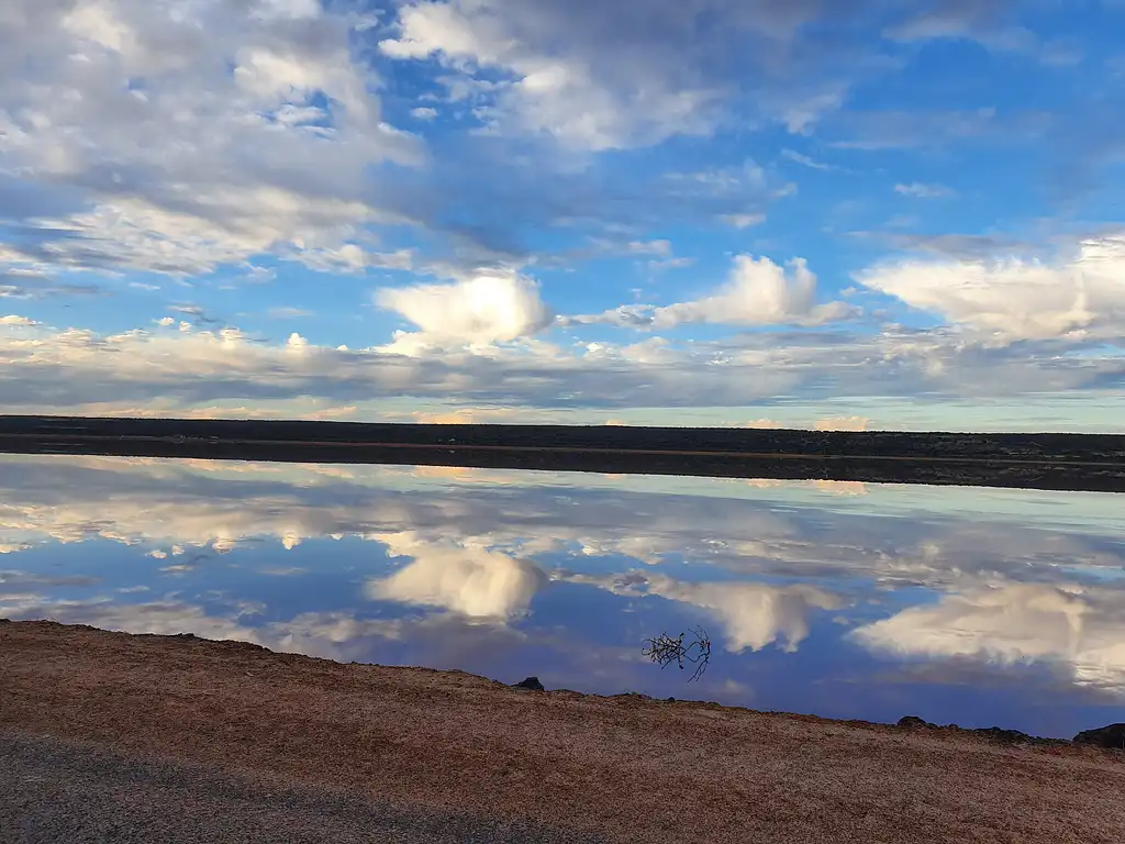 Pink Lake Buggy Tour | Western Australia