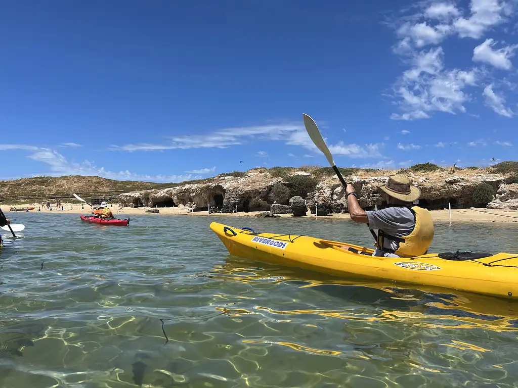 Seal And Penguin Islands Sea Kayak Day Tour