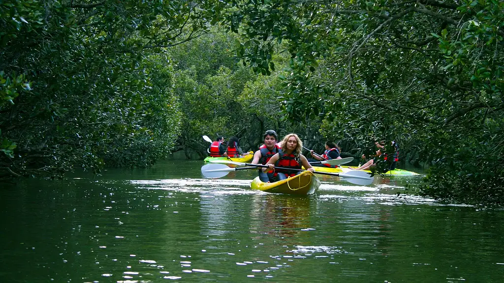 Waterfall Cruise & Kayaking Tour