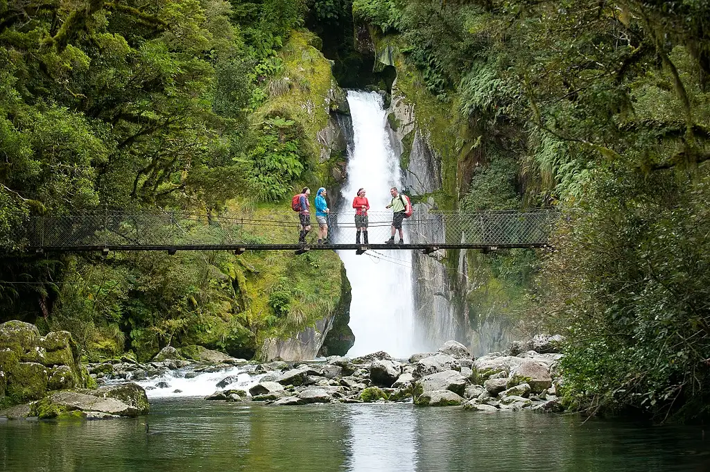 Milford Track Guided Walk - From Milford Sound