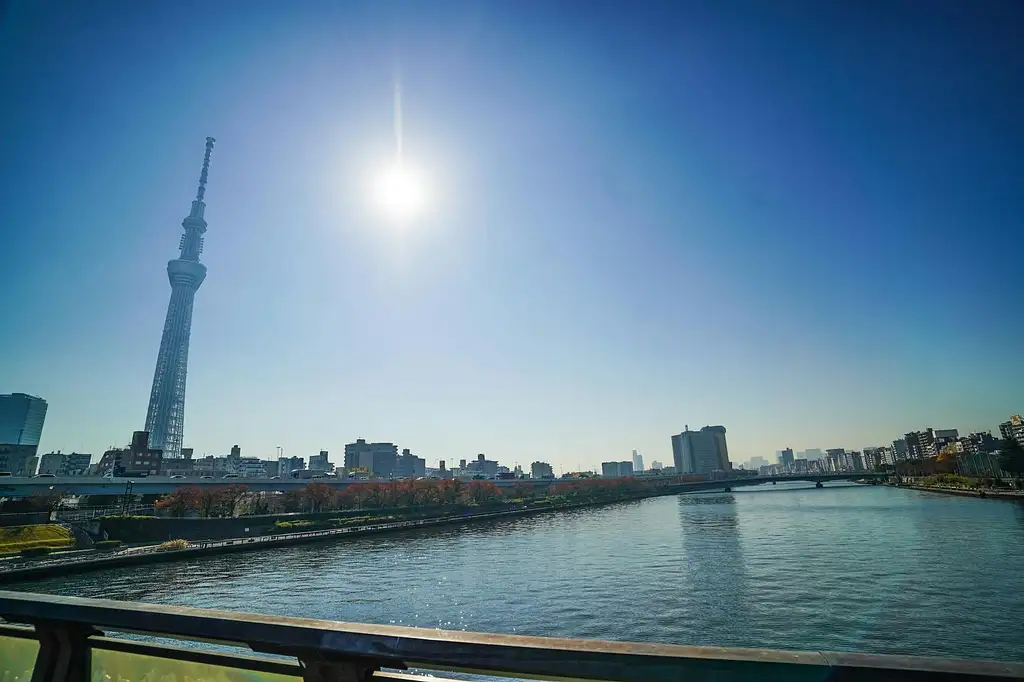 Tokyo and Edo Hidden Gem Bike Tour with Lunch