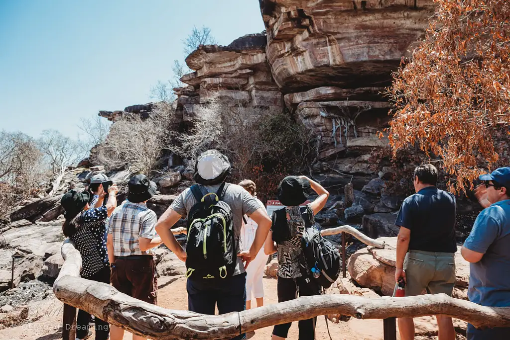 Kakadu National Park Day Tour + Lunch & Cultural Cruise (Mar-Oct)