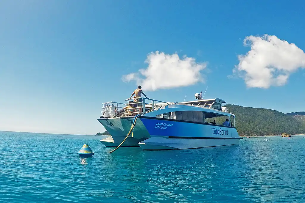 Whitsundays Day Cruise and Tour