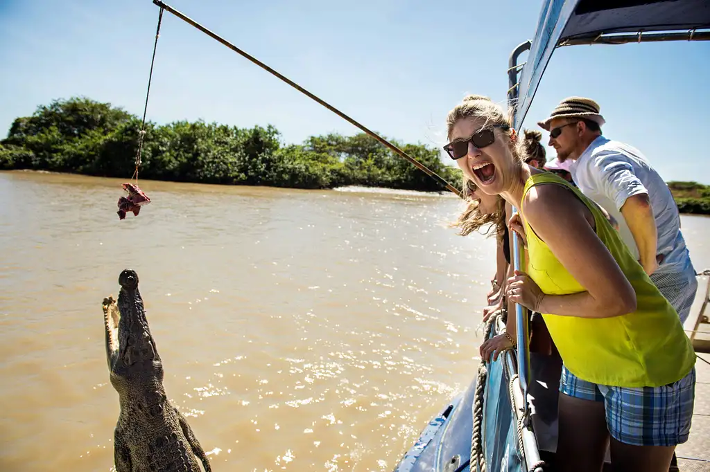 Spectacular Jumping Crocodile Cruise - Darwin