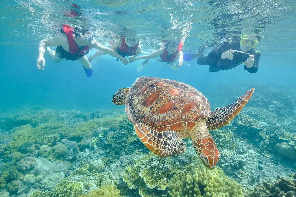 Moore Reef & Fitzroy Island - Reef & Island in a Day Tour