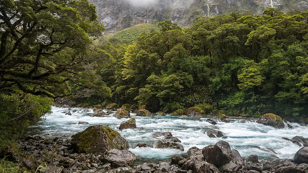 Premium Milford Sound & Te Anau Highlights 2 day Combo Small Group Tour from Queenstown