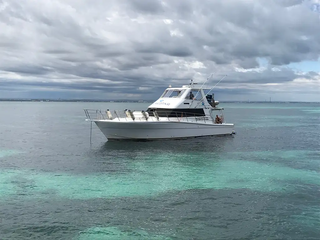 Dunsborough Whale Watching