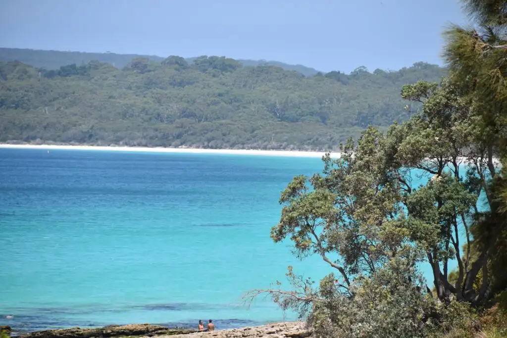 Jervis Bay with Dolphin Cruise | Day Tour from Sydney