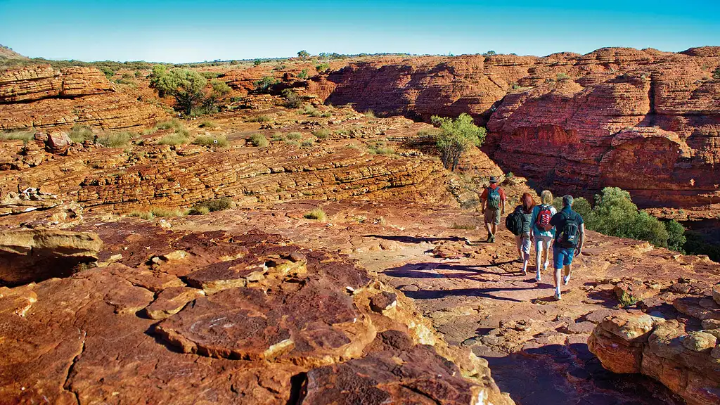 Kings Canyon & Outback Panoramas - Full Day Tour from Uluru