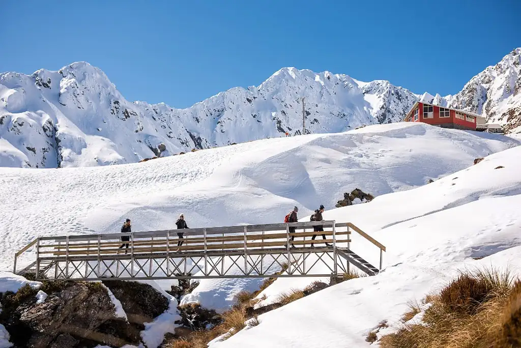 Ski New Zealand: 5 Day South Island Snow Explorer from Christchurch