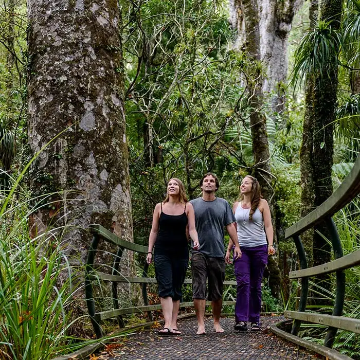 Cape Reinga and Ninety Mile Beach Tour