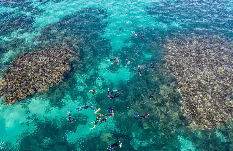 Coral Bay Snorkel & Coral View Tour