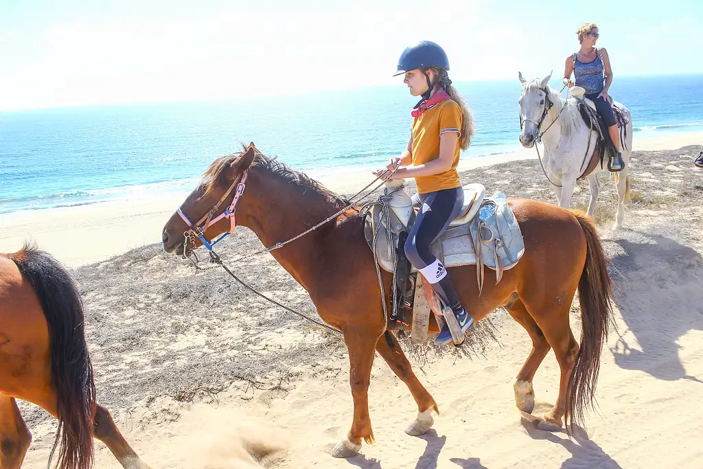 Horseback Riding Beach and Desert Tour