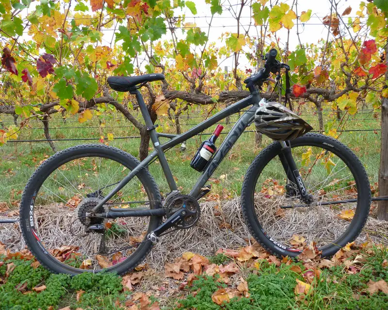 McLaren Vale Wine & Bike Tour