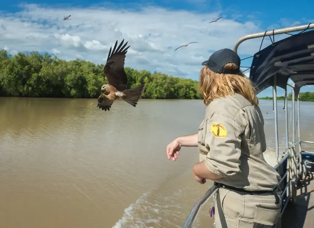 Jumping Crocodile Tour from Darwin - TNT24OCTSALE