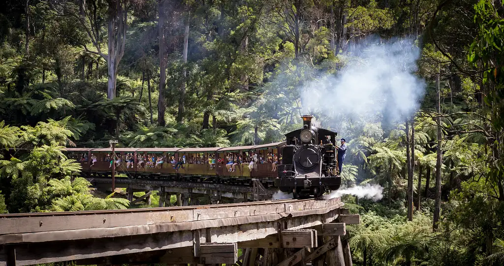 Puffing Billy Steam Train & Wildlife Tour | From Melbourne